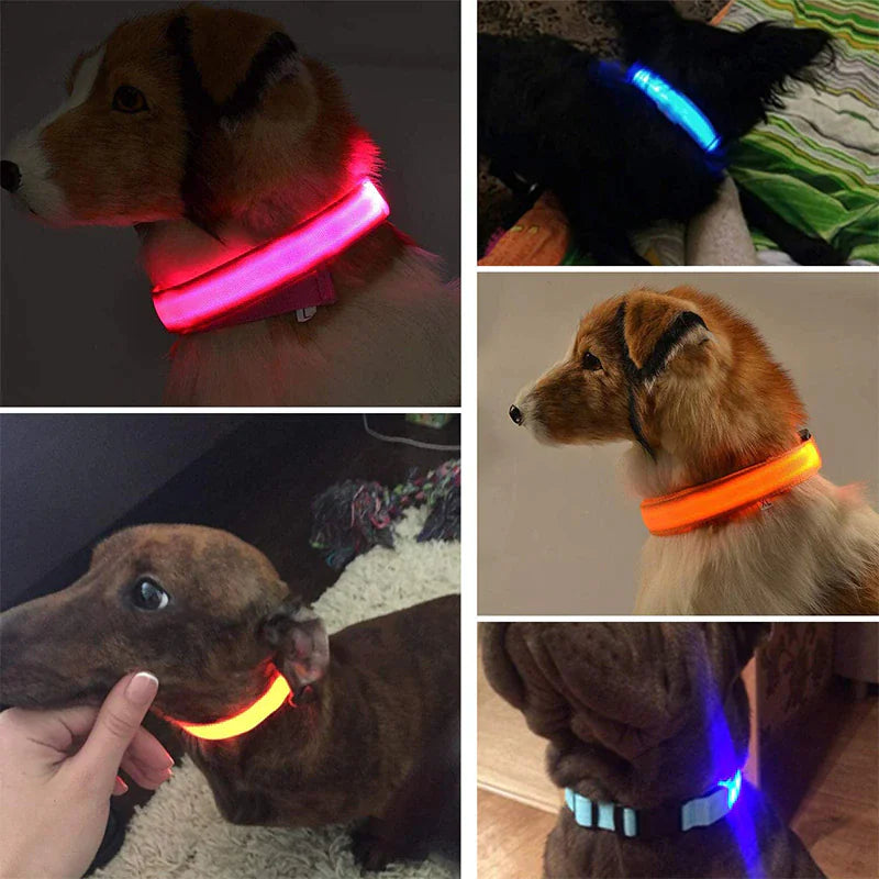 LED Adjustable Glow Safety Dog Collar
