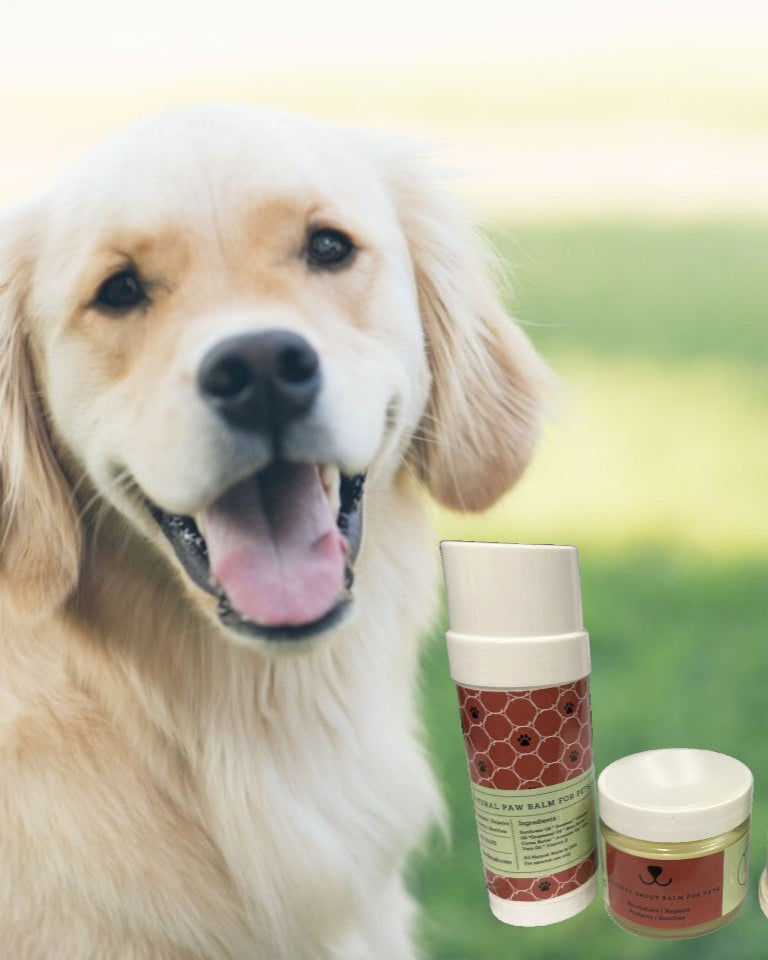 Pet Pampering Gift Box (All Natural Pet Wellness Kit )