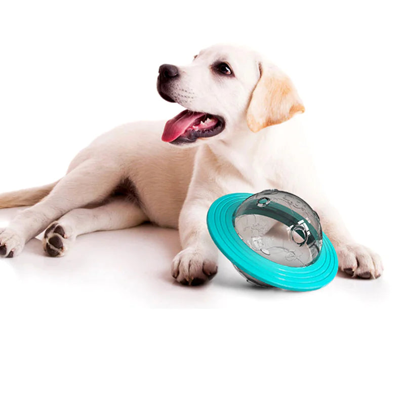 Interactive Food Dispensing Ball