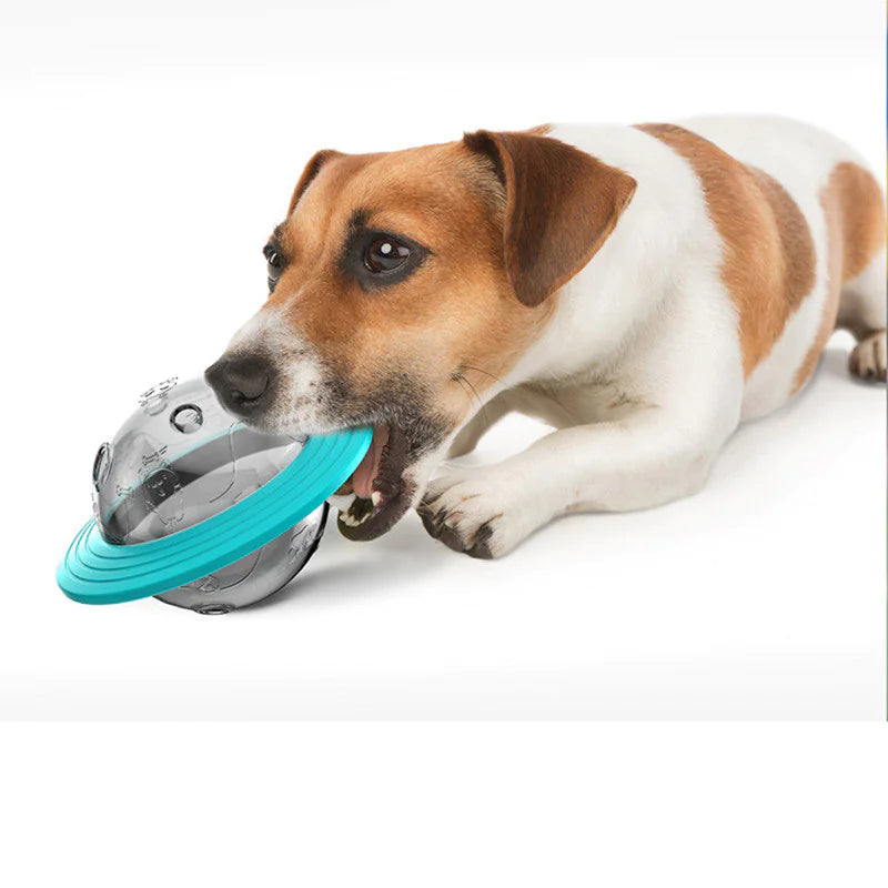 Interactive Food Dispensing Ball