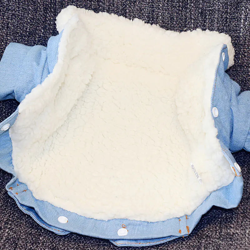 Thick Warm Pet Cotton Denim Jacket
