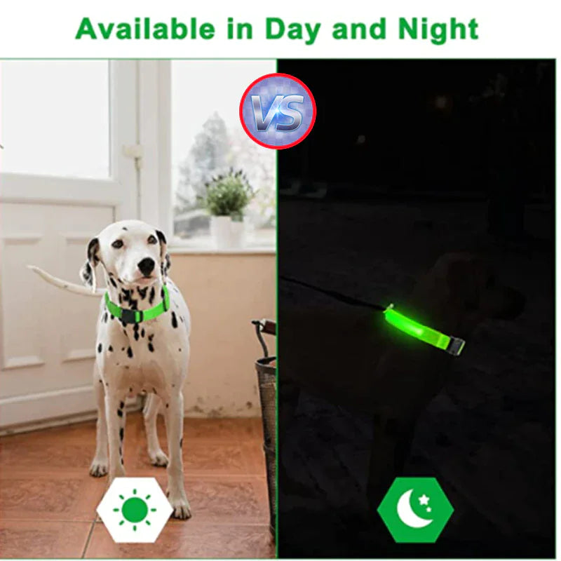 LED Adjustable Glow Safety Dog Collar