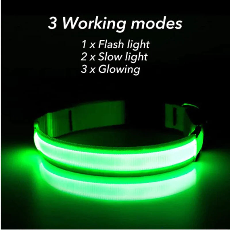 LED Adjustable Glow Safety Dog Collar