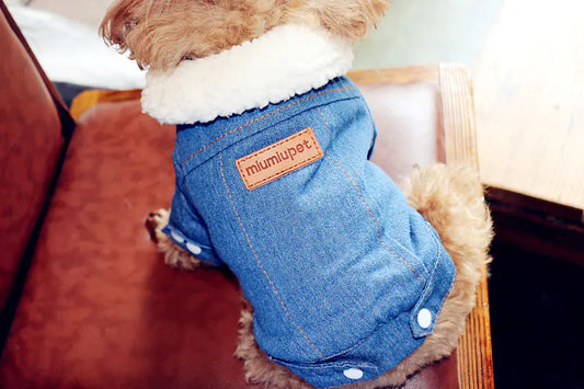Thick Warm Pet Cotton Denim Jacket