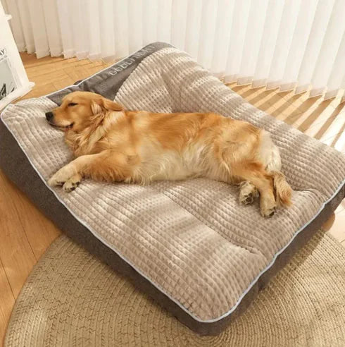 Dog and cat lying on a large quilted pet bed together. show "Goodnight" printed on pillow head, in a room with wooden flooring and white curtains.night