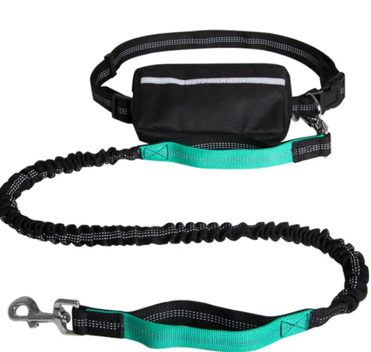 Reflective Hands-Free Pet Leash with Storage