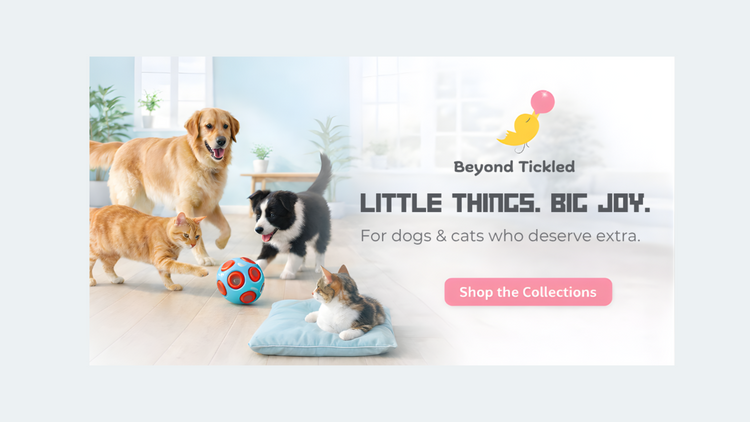 Advertisement for Beyond Tickled pet product brand with dogs and a cat playing