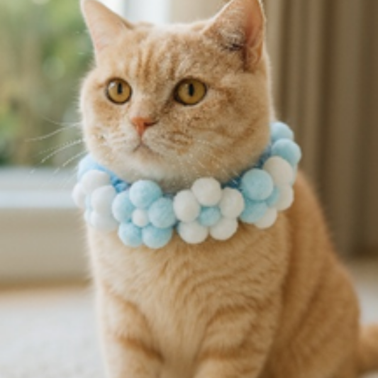 Cat wearing a blue and white floral collar indoors