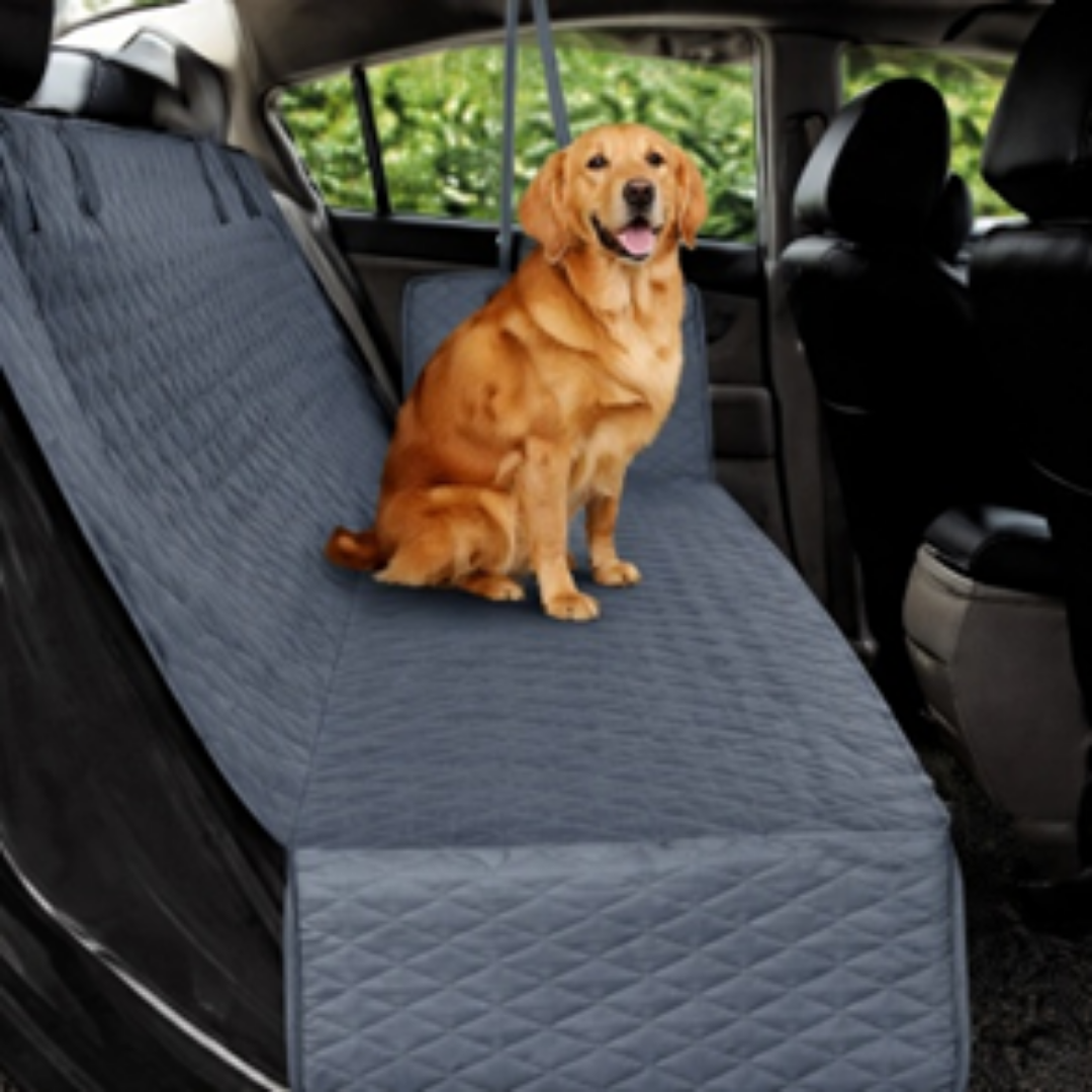 Dog sitting on a car seat cover in a vehicle