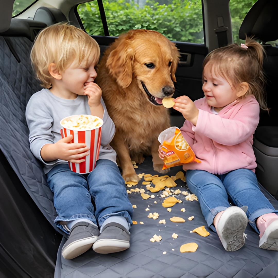 Two children and a dog sitting in a car with snacks and popcorn.
