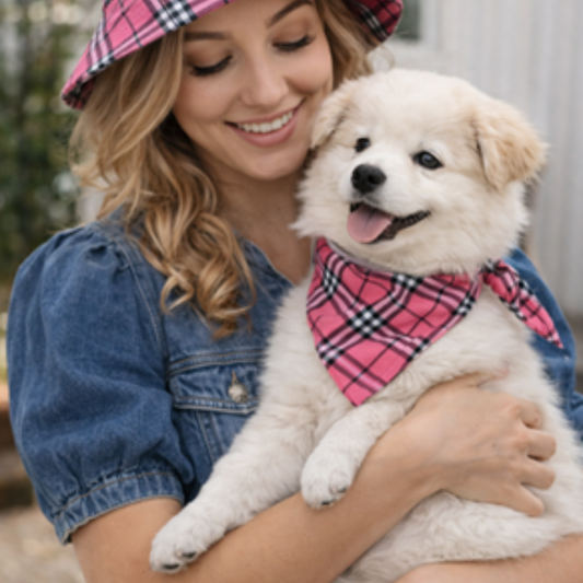 Dual Layer Pet Bandana