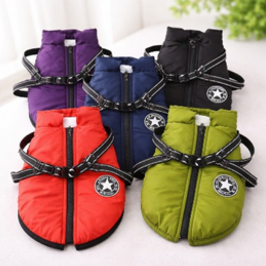 Four dog life jackets in purple, blue, red, and green on a white background.