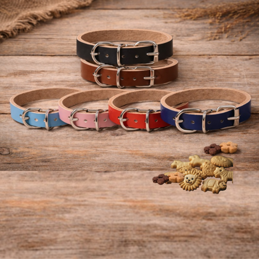 Set of colorful dog collars on a wooden surface with dog treats.