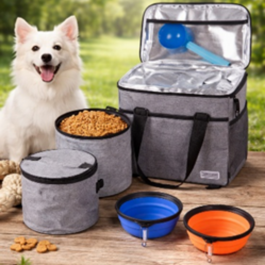 Dog with pet food and travel accessories including a cooler bag, bowls, and a scoop on a wooden surface.