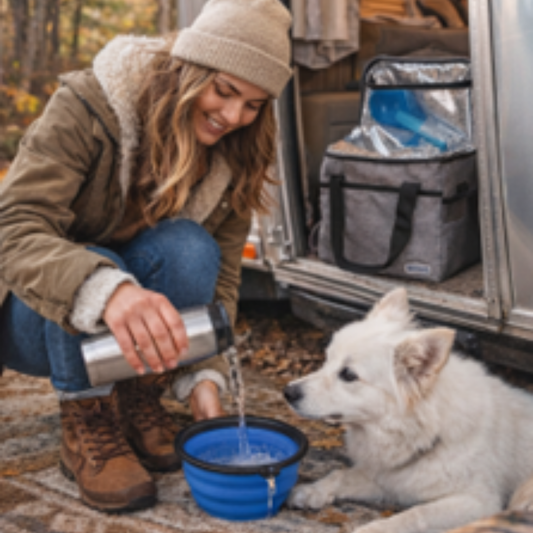 Woman pouring water from a thermos into a blue bowl for a white dog next to an open vehicle trunk.