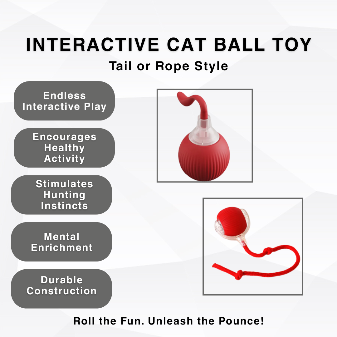 Interactive cat ball toy image