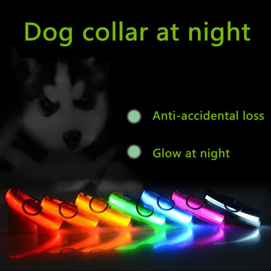 LED Adjustable Glow Safety Dog Collar