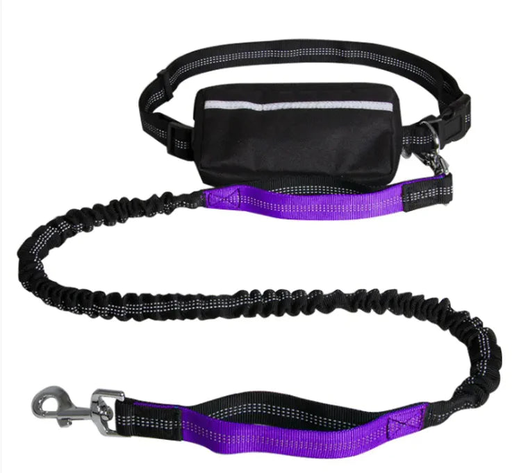Reflective Hands-Free Pet Leash with Storage