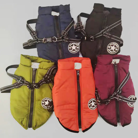 Chic Pet Autumn/Winter Jacket
