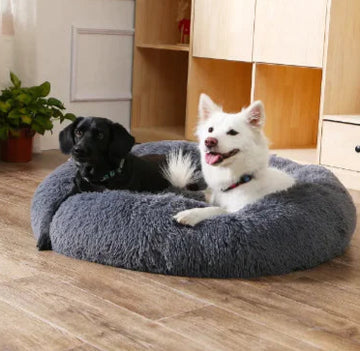 Two dogs on a Fluffy Donut Pet Bed in a room