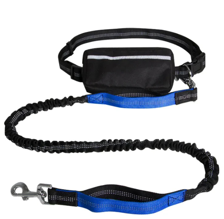 Reflective Hands-Free Pet Leash with Storage